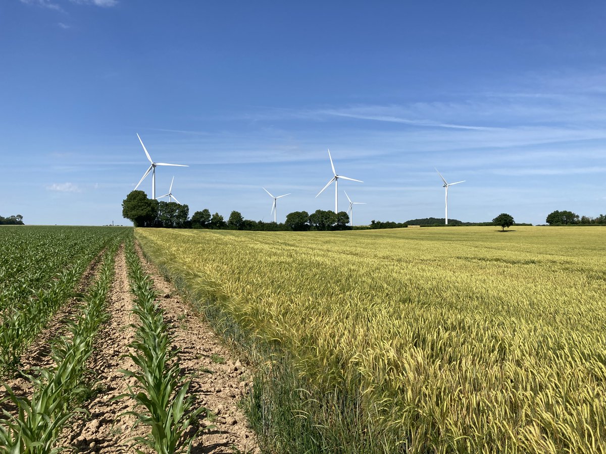 Renantis_'s tweet photo. 📣 We have another 12 MW in #France with Illois Wind Farm💨reaching COD!
The project features a strong #communityengagement approach
65 local children have already been introduced to the wind farm during construction 👩👦
#OurSharedValue #renewables👉
https://t.co/JPIg6P82W2 https://t.co/jJX0gA1lrL