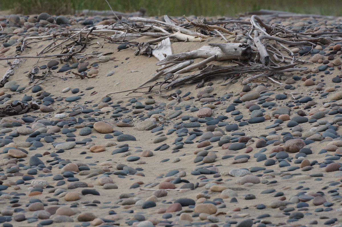 Richard Bacolor tweet media