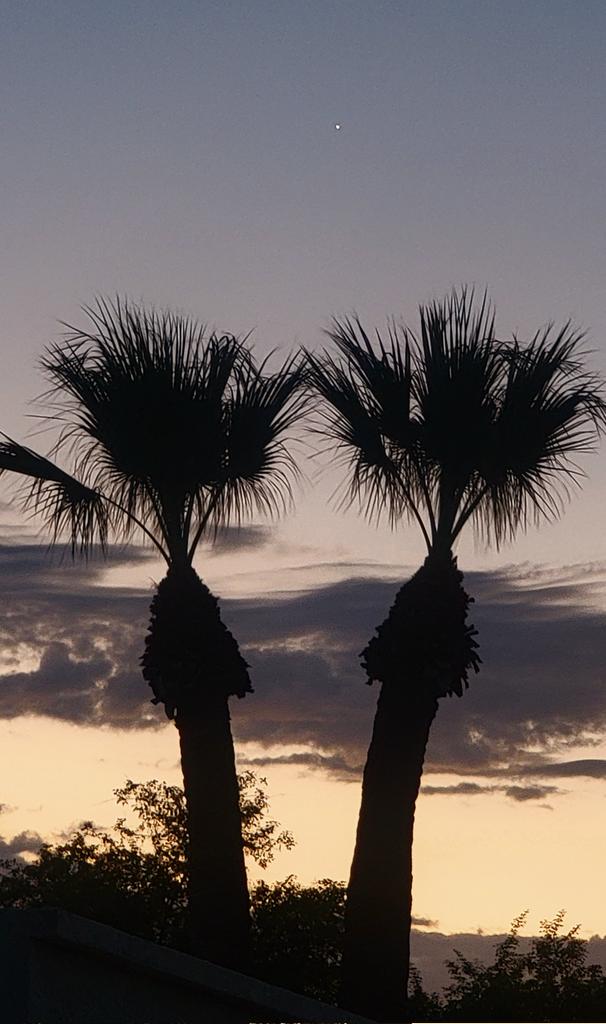 ARIZONA_HOLLY's tweet photo. "Some days you will be the light for others, and some days you will need some light from them.
As long as there is light, there is hope, and there is a way." 💫
#Mondayvibes #mondaythoughts
#mondaymorningview https://t.co/hHhU3MwwYV