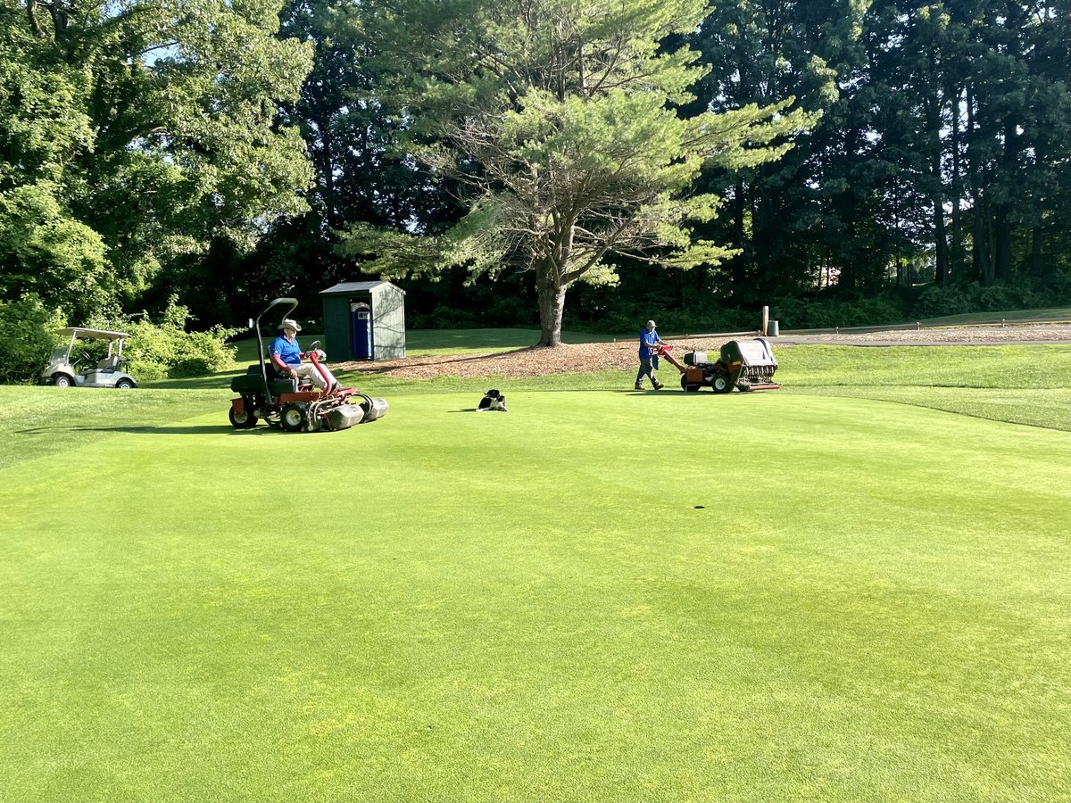 PenderbrookGCM's tweet photo. Overseeing mowing and needletining ⁦@DogsOfTurf⁩ https://t.co/MXzzfz9uAa