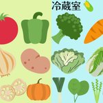 野菜室ではなく冷蔵室に入れた方が良い野菜もある？!覚えておきたい野菜の保存方法!