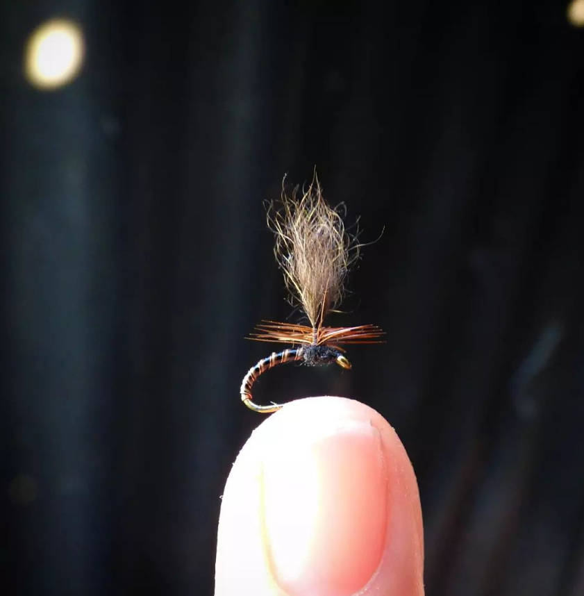 Love fishing dries on small Rocky Mountain Streams
<a href="/fontinalis/">Fontinalis Partners</a>.rocio
Parachute con subpelo de nutria 🐹
;
#flytying #atadodemoscas #pescaconmosca #pescaconmoscapatagonia #flytyer #flytyingart #flytyingjunkie #flyfishingnation #flyfishingaddict #flyfishingnation #flyfishinglife