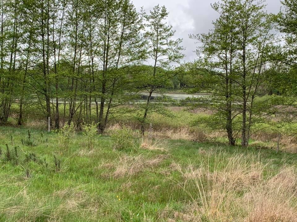 villedieulake's tweet photo. 2 Years ago today we arrived with our house. 😂 I mean caravan!! We had to strim our way in after lockdowns etc as it was so overgrown. Having images reminds us just how far we have come! 😊#villedieulake #fishinginfrance #fishoftheweek #carpfishing #lakelifebestlife #magnacbourg https://t.co/LdcsUUcAFs