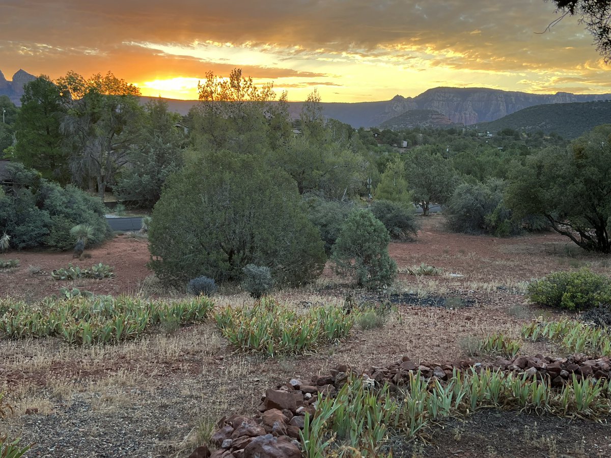 Leigh Ann Roe, NBCT tweet media