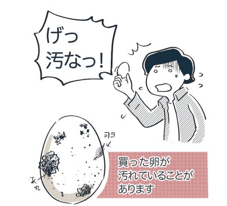 買った卵が汚れていることがあります
続き→
https://t.co/owpWuwEnqc 