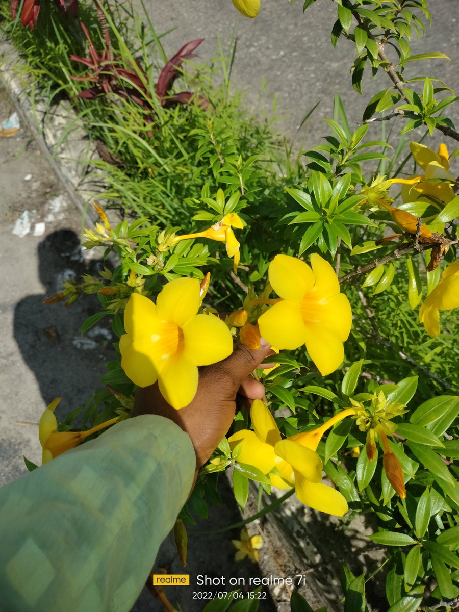 Mdsaifu73816996's tweet photo. প্রিয় তোমার জন্য,,, https://t.co/oNZ0Fy4u06