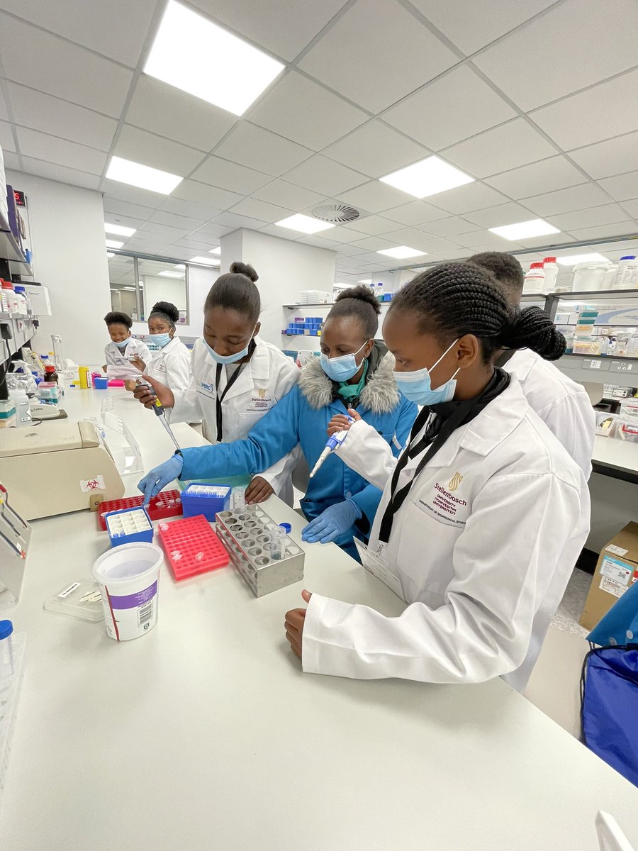 SuMBHG's tweet photo. @MRCza #GenSprogramme Day 1 ended with the @tbgenomics Lab at MBHG hosting the #GenS students for a pipetting competency practical to ensure proper use for the exciting hands-on activities taking place over the next 3-days 🥼 https://t.co/Xg8RxQhXyj