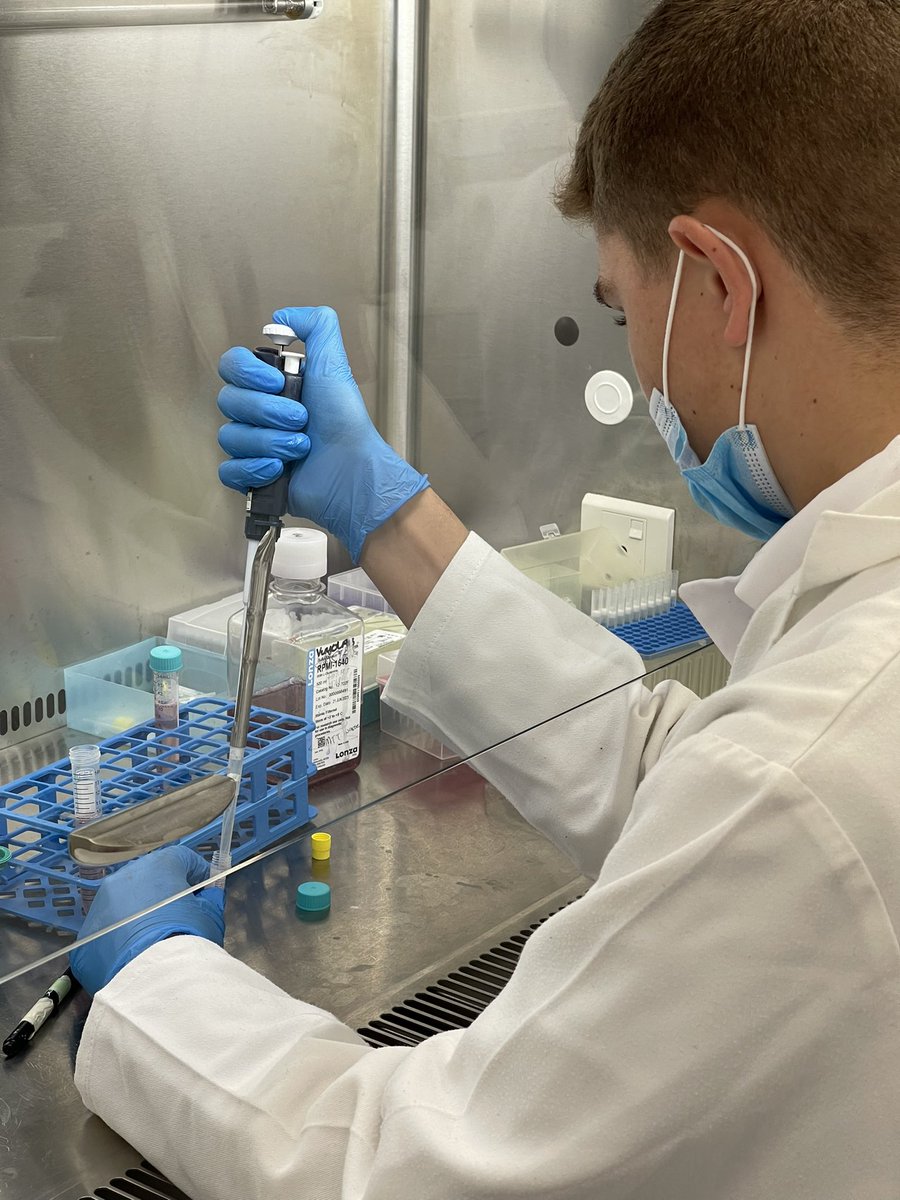 SuMBHG's tweet photo. @MRCza #GenSprogramme Day 3 ended off with a trips to the MAGIC Lab 🪄 at MBHG
Here the @SUTBHostGen hosted the #GenS students for a Sanger Sequencing illustration – a method used to sequence genetic material by way of in vitro DNA replication using fluorescent molecules https://t.co/OKT9ywQy18