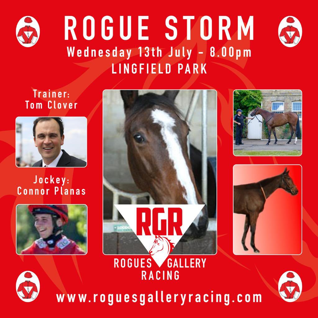 Roguesracing_'s tweet photo. A Storm is coming!!!!
#RogueStorm runs on Wednesday at 8pm @LingfieldPark ridden by @ConnorPlanas for @tomcloverracing
Looking forward to having Connor on board after his success on Saturday aboard #RogueRocket
#rogues #bestsyndicate #livingthedream https://t.co/TS2blvXyFd
