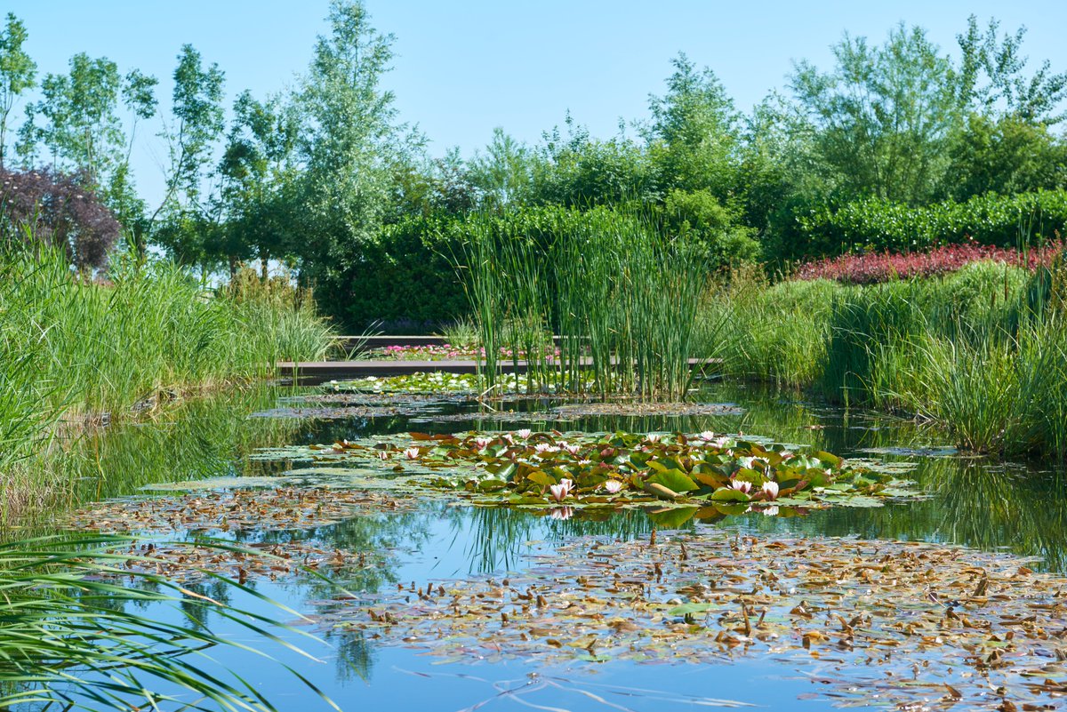 Bloemenpark Appeltern tweet media