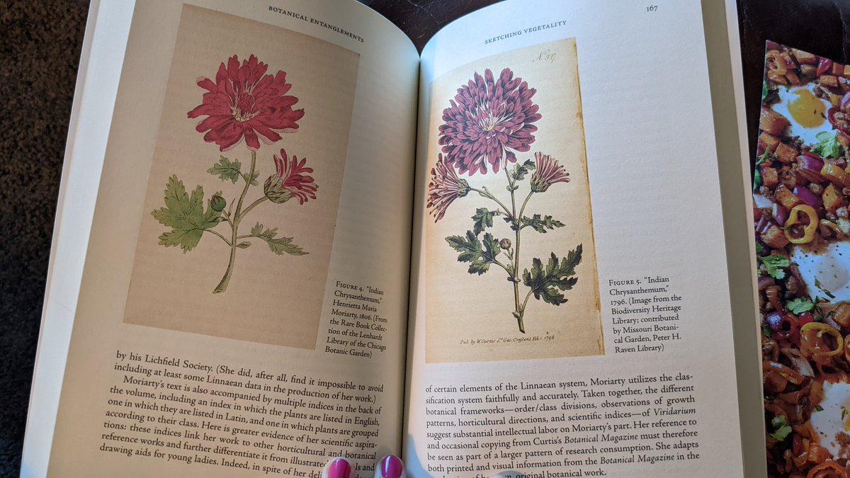 Dr. Katie Sagal 🌿🌺🍄 tweet media