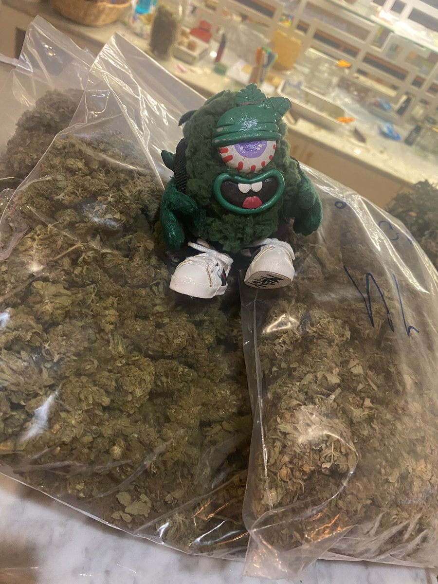 masterkgrower's tweet photo. ちょう可愛いやんか😍

@420hi046 
@Ms_Traveler_JP

ステッカーありがとうございます。 https://t.co/FPVT5mrXL8