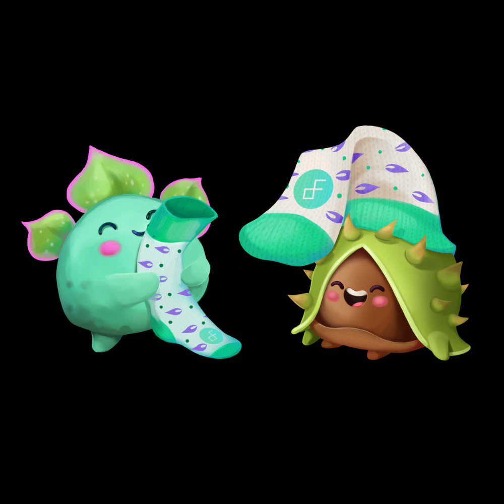 Zeedz @zeedz_official