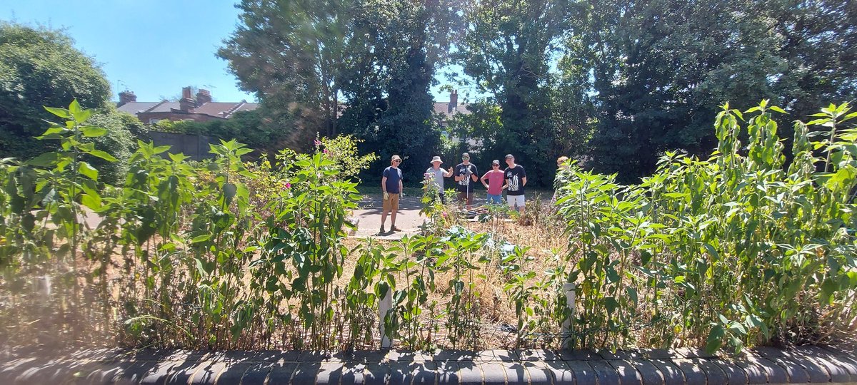 NPBigLocal's tweet photo. 6 wonderful volunteers from @ZebraTechnology @ZebraEMEA joined us during the hottest day of the year so far as part of their #GlobalWeekOfService. They toiled in the sun as they helped us sort out the allotments in @RussellPark_N22 - now ready for Floyde's Saturday Gardening Club https://t.co/uwP1GkjwS1