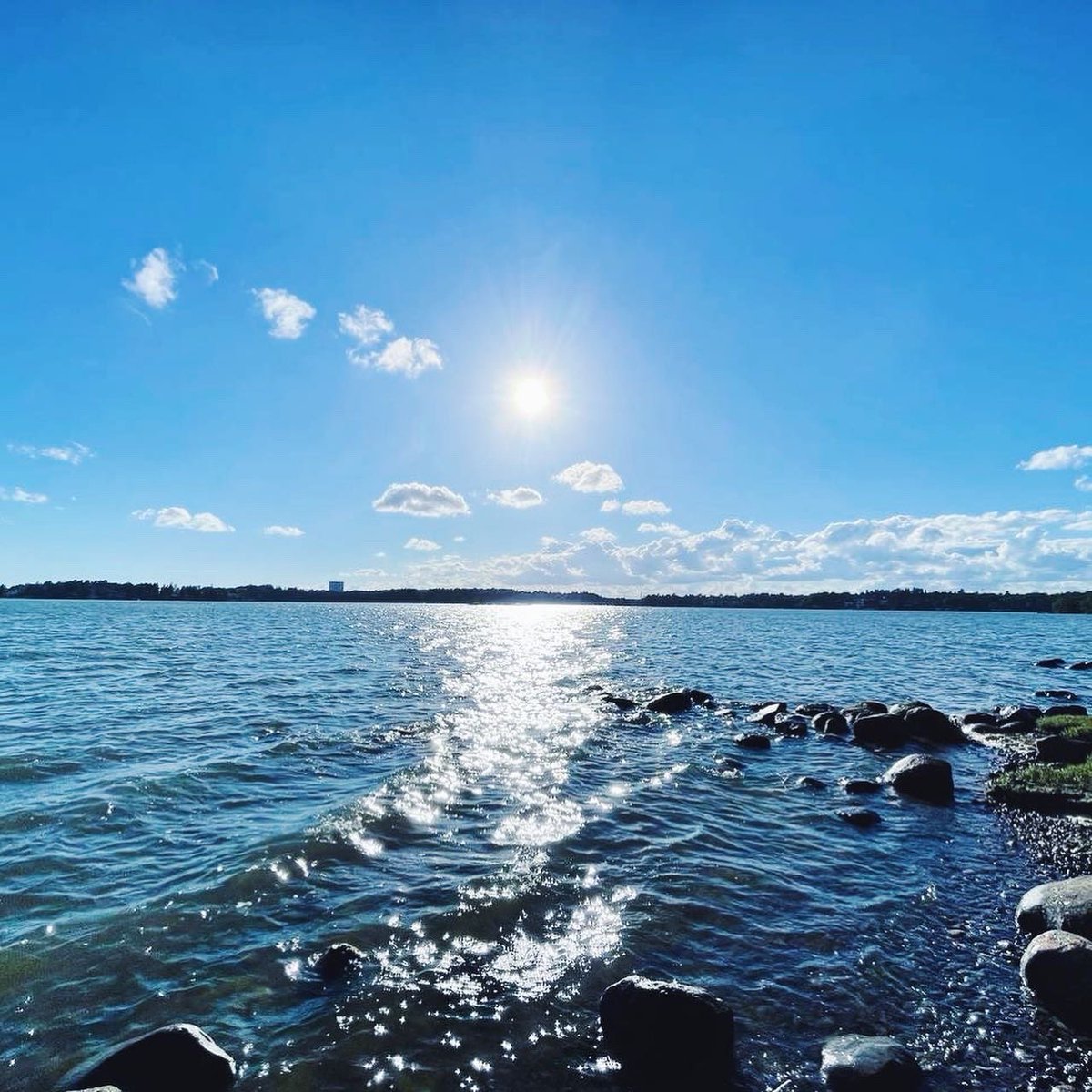 Hannah Yeo tweet media