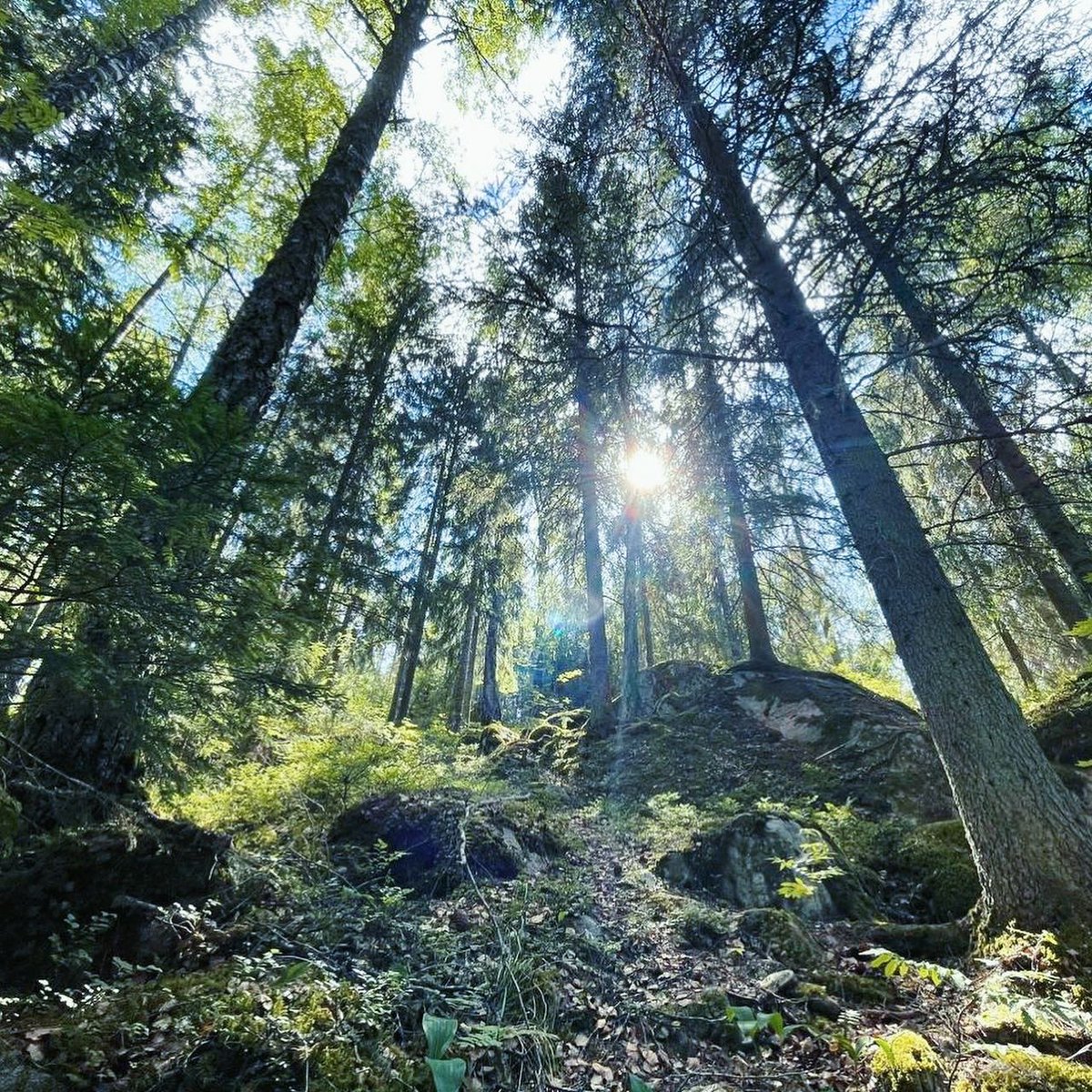 Hannah Yeo tweet media