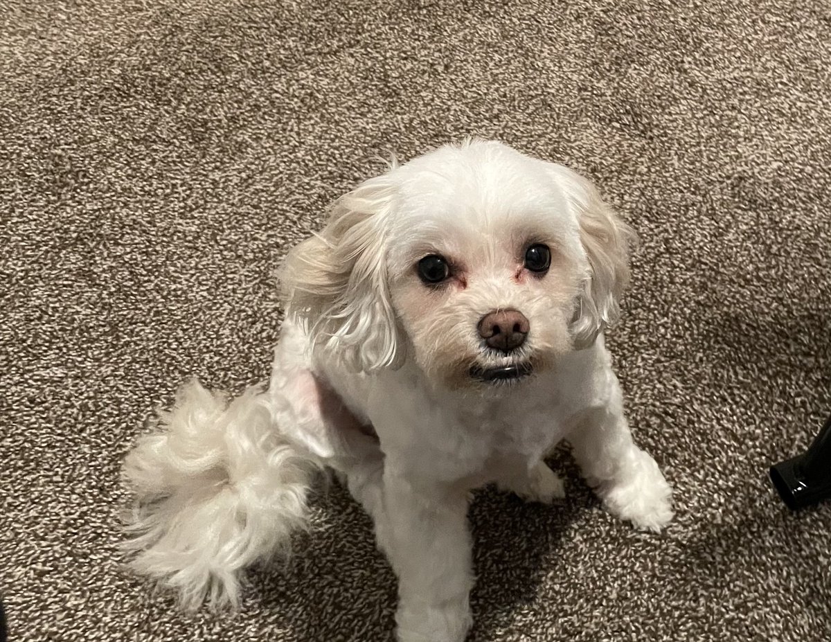 Brent Murphy tweet media