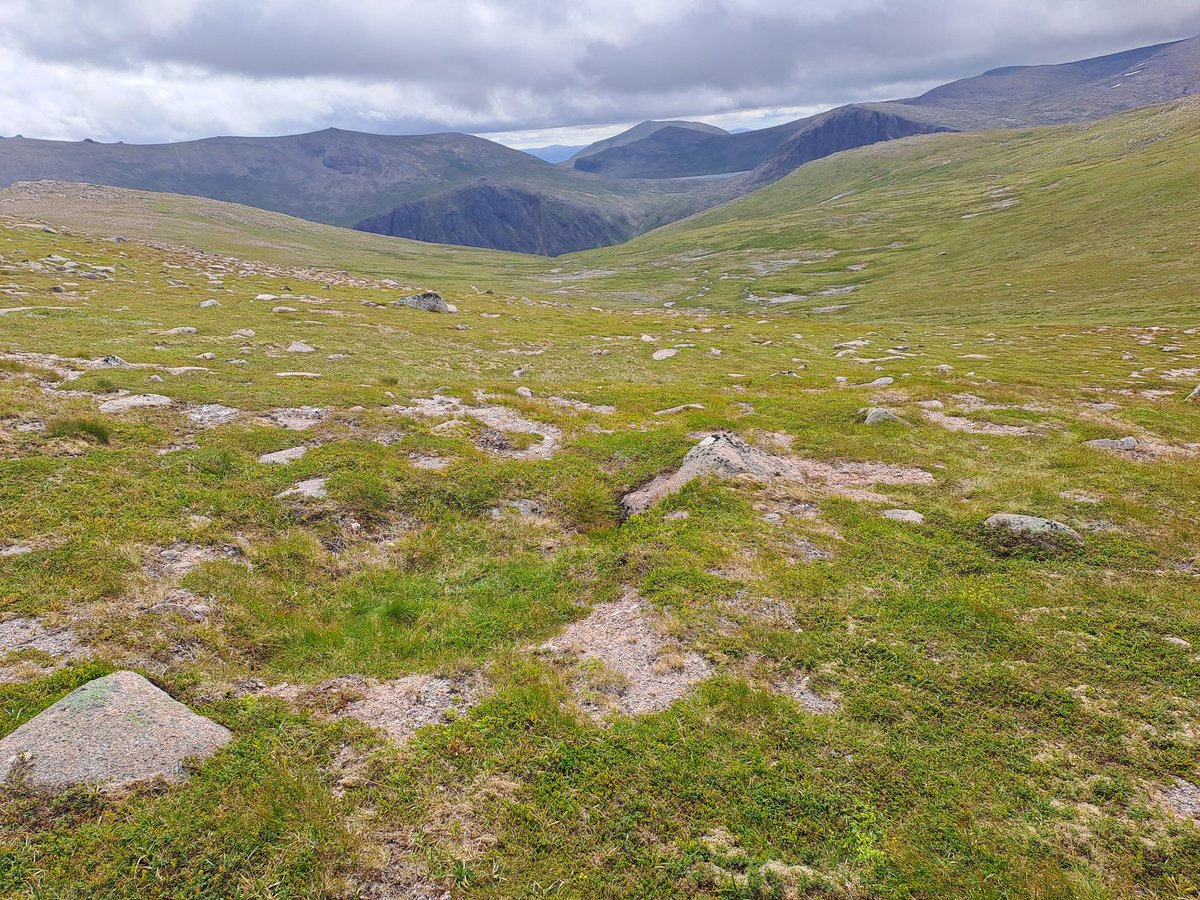 Long day of surveying as many areas of erosion as we could find for signs of prehistoric archaeology.