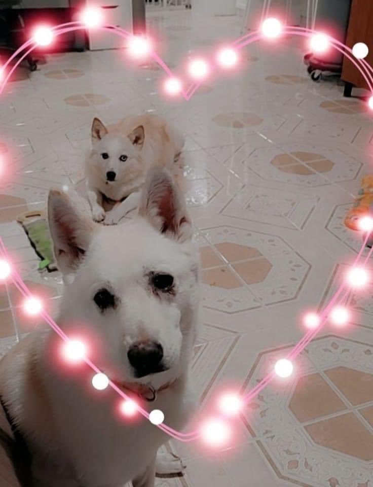 Thank you <a href="/melmart973/">Melissa White</a> for sharing the love 💜 #wholelottalovepeakers 
#itstartswithaheart 
#peakerlove
#findingloveeverywhereyoulook
#mypeakchallenge
#samheughan