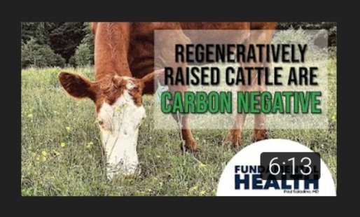 value_freedom's tweet image. 🚨

"Regeneratively raised cattle are carbon negative"

youtu.be/9boE1IOF_M4