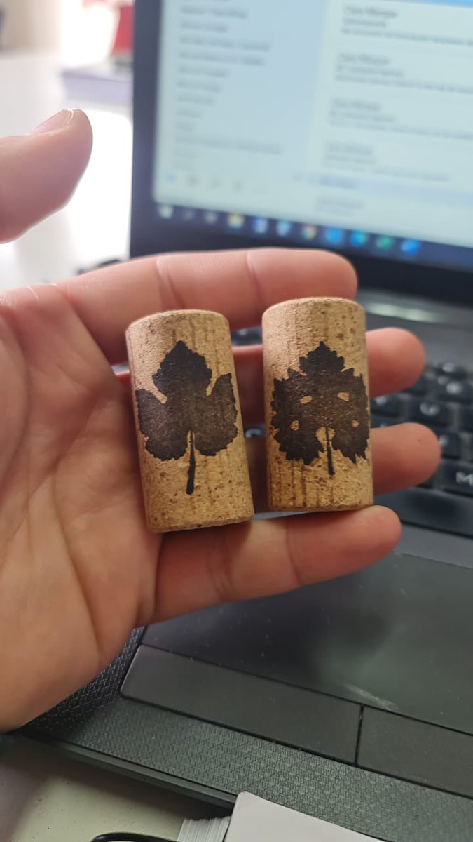 La cosecha 2021 de El Viticultor va con corchos impresos con la hoja típica de cada variedad, en este caso, Malbec y Cabernet Sauvignon. Gracias <a href="/Diam_cork/">Diam Cork</a> !!! Llevamos viticultura en cada botella 🍇🍷