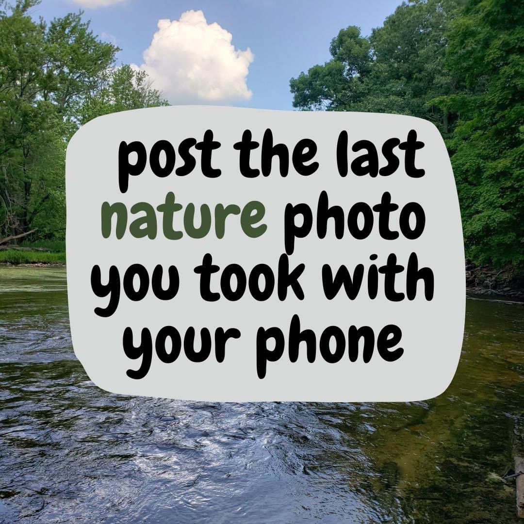 Maeoe_MI's tweet photo. A little something fun to do on your Monday! #growEEinMI 🌿🪶🪷🌛 https://t.co/4v59FldbLg