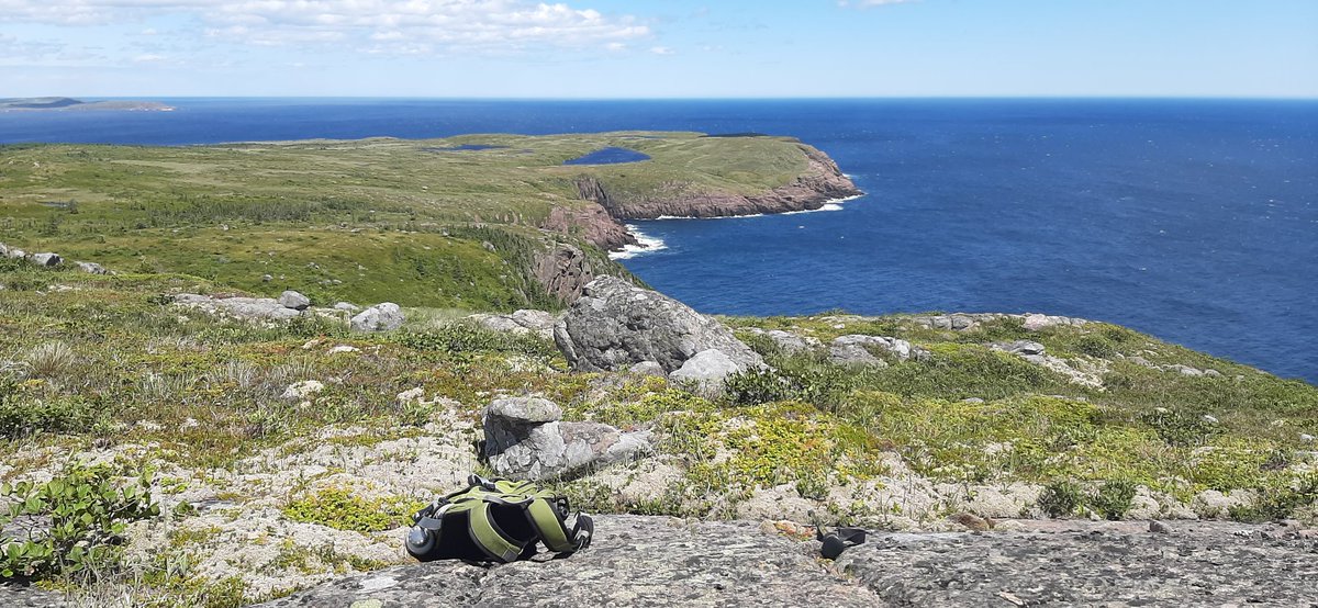 RichHowieNL's tweet photo. A magnificent Sunday on #MotionPath #EastCoastTrail. Weather could not have been any finer. #QVpathfinder https://t.co/IfbIv5tykl