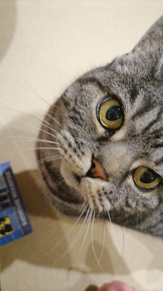 isabelle Flaherty (@bringbackeboys) on Twitter photo 