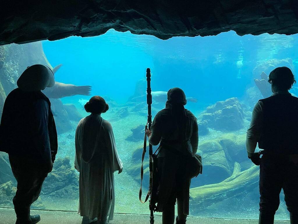 “There’s always a bigger fish.”

Check out this photo of our members taken at the annual Dream Night at the Henry Doorly Zoo!

#rebellegion #rl #centralbase #rebellegioncentralbase