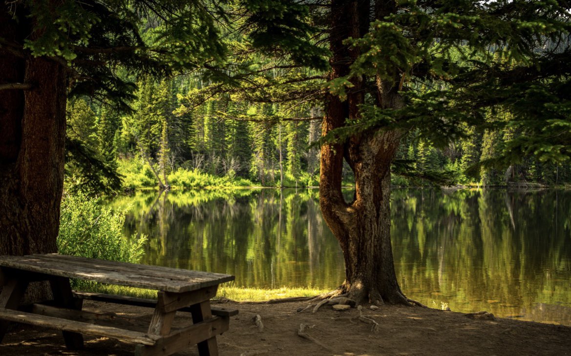 July is #nationalpicnicmonth get out in nature with family and friends and enjoy a picnic. nature reduces stress,calms your nerves & can lower levels of cortisol,pulse rate and blood pressure.spending time with loved ones , exercise and peace and quiet can lift your mood.