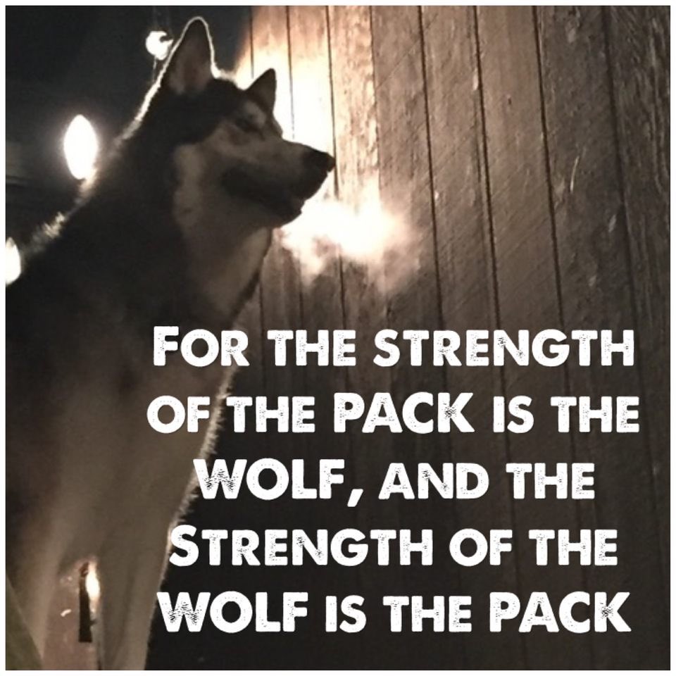 A “moment” that rests upon the shoulders of so many... we, the club, the staff, are grateful for all of you, all are members of “the pack” we are proud of all
@SLSGsoccer 
#TheOriginals
#ThePioneers
#InPursuit
#NotSoTypical
#TheBabies
#MoreThanAGame
#CCC
#TheChill
#TheParents🙌