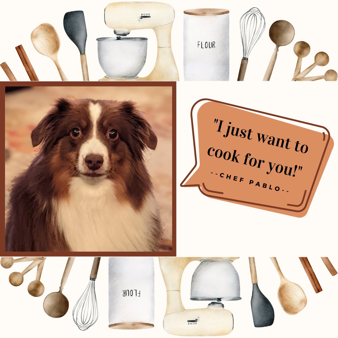 We're 5 Barker Street Detective or 2 Feast with Furlock level pledges away from unlocking Chef Pablo's Pup-cake how-to video. How can you say no to that face??? #ruffbluff #kickstarter #puzzlegames #dogsoftwitter