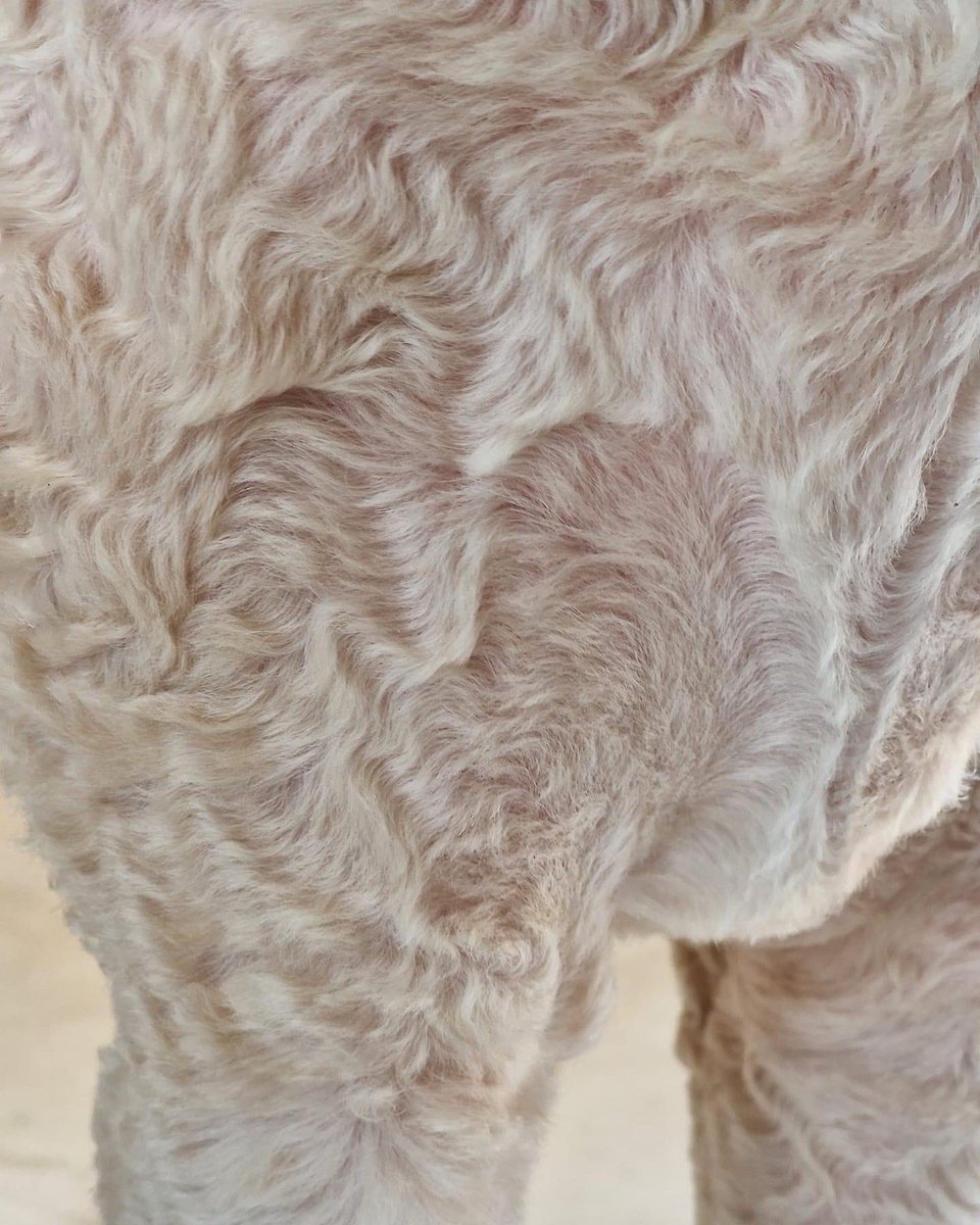 Thank you @ElisahMo for sharing the love #wholelottalovepeakers 
#itstartswithaheart 
#peakerlove
#findingloveeverywhereyoulook
#mypeakchallenge
#samheughan