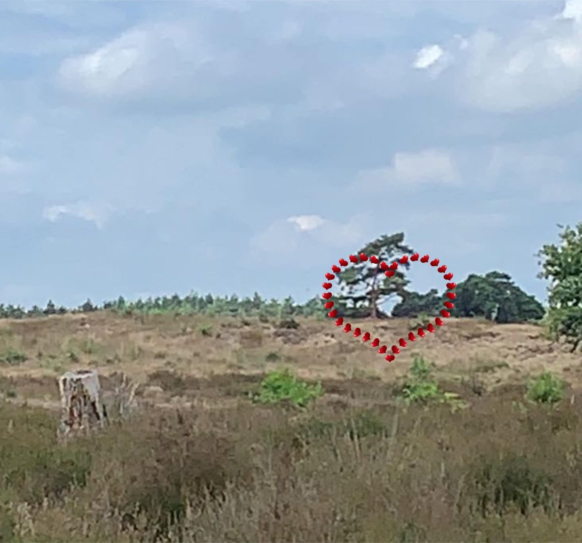 Thank you <a href="/PetravR73/">Petra 🍄</a> for sharing the love 💜 #wholelottalovepeakers 
#itstartswithaheart 
#peakerlove
#findingloveeverywhereyoulook
#mypeakchallenge
#samheughan