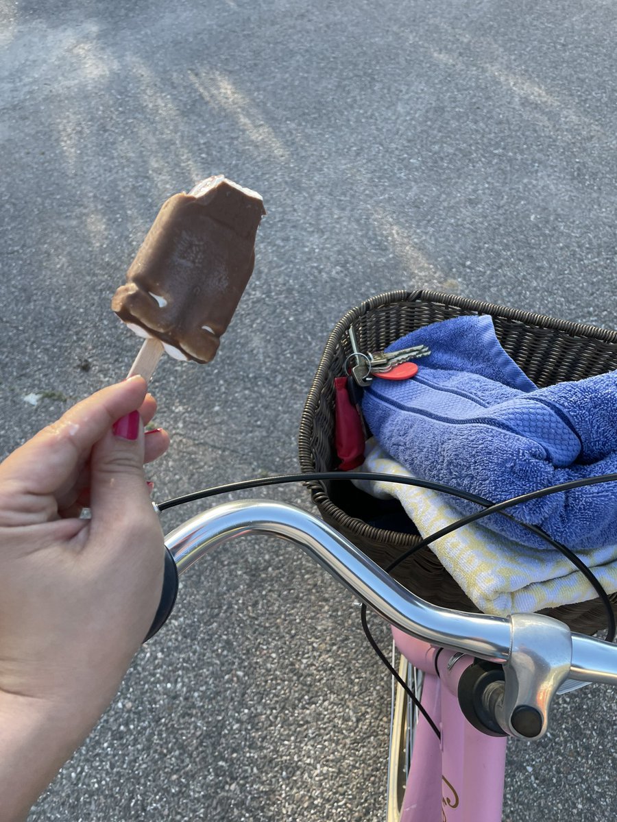 VestlundMalin's tweet photo. Nackdelen med att mamma och pappa har skaffat larm är att jag inte obemärkt kan gå in och ”låna” en glass när jag är nere hos hästarna. https://t.co/raxFGh8R0u