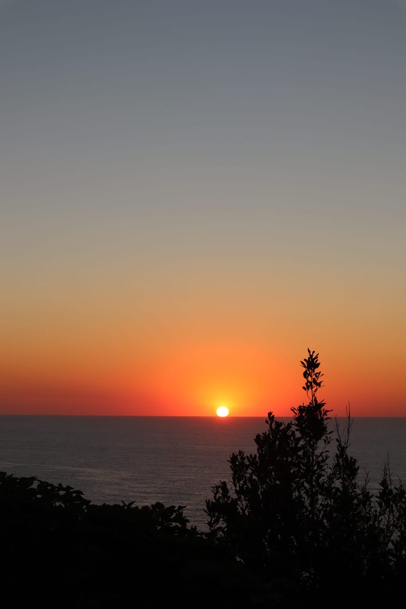 H2020-MSCA-INTERfaces tweet media