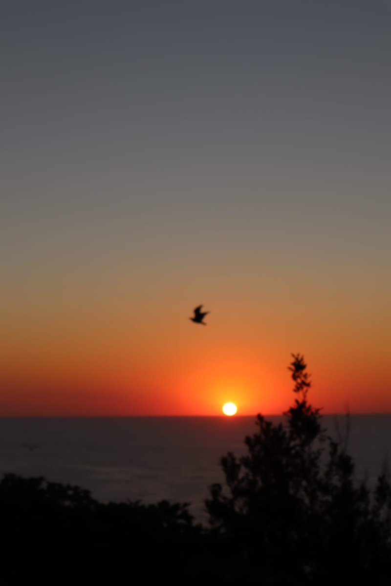 H2020-MSCA-INTERfaces tweet media