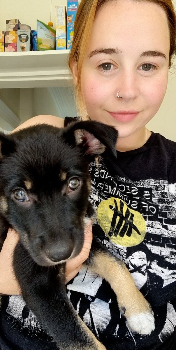 a d e l e e⚰️🪦 tweet media