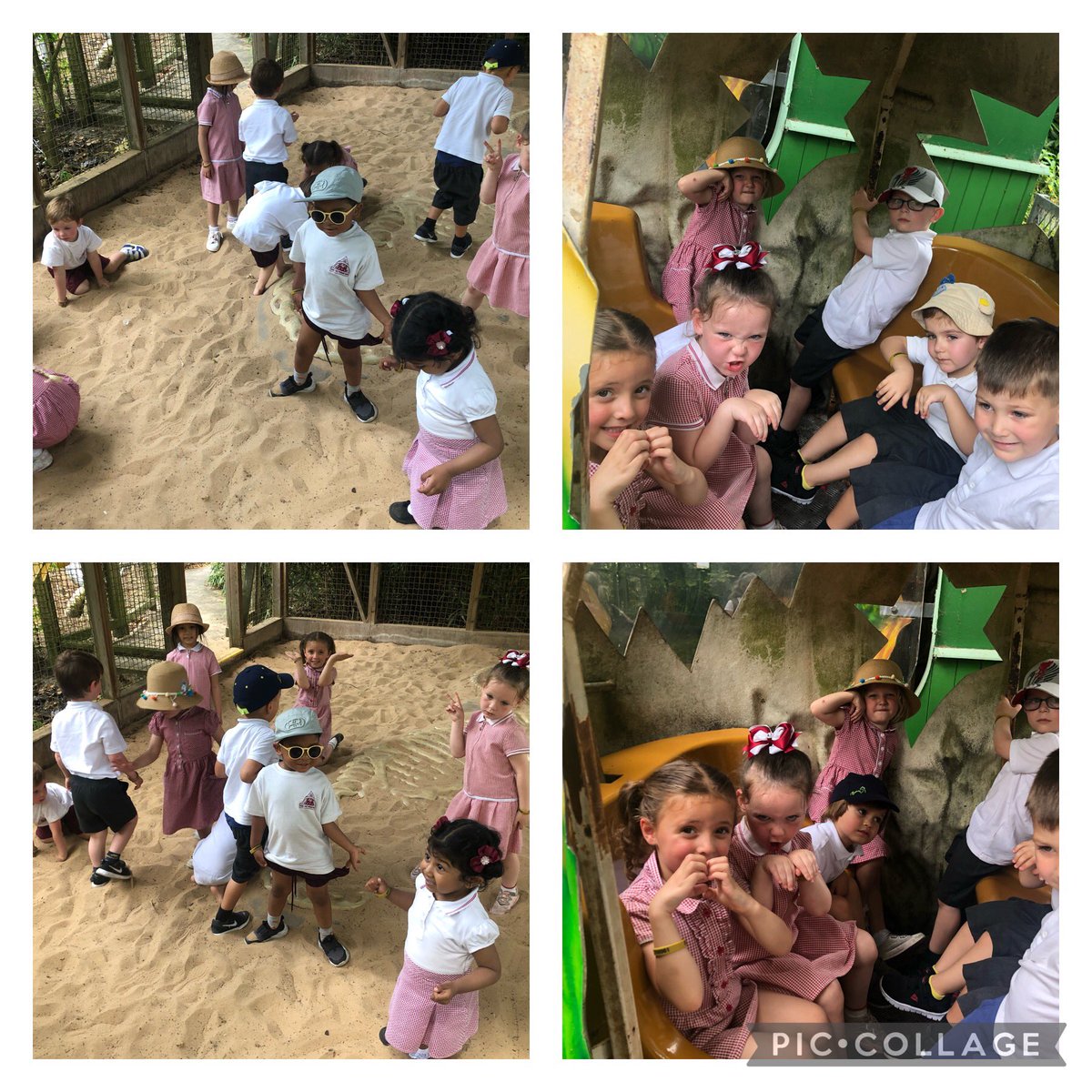 Mrs Thomas tweet media