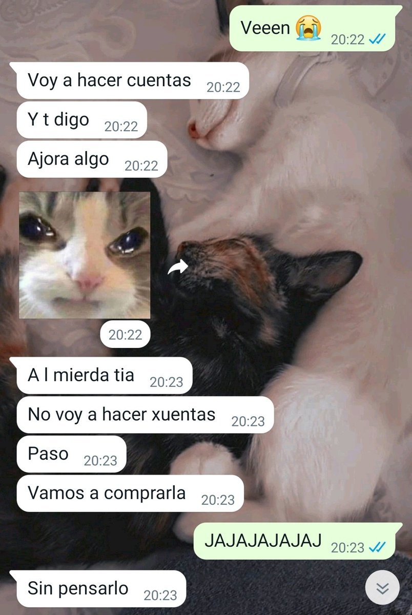 Merchi13_'s tweet image. Es que la amoO @aldanaamir