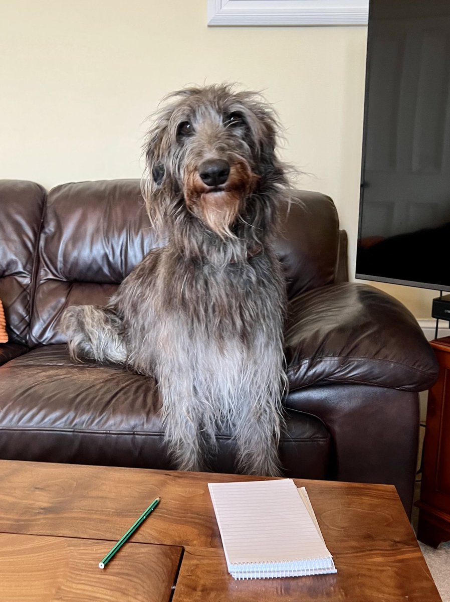 DeerhoundRhodry's tweet photo. I hear there is a lot of letter writing happening ✍️ 🎩💕
#SaveGentlemanJack https://t.co/SjDAousGw0