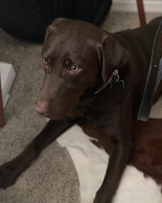 its the baby bois second birfday🥺💖🎂 https://t.co/4Zo5NvnUls