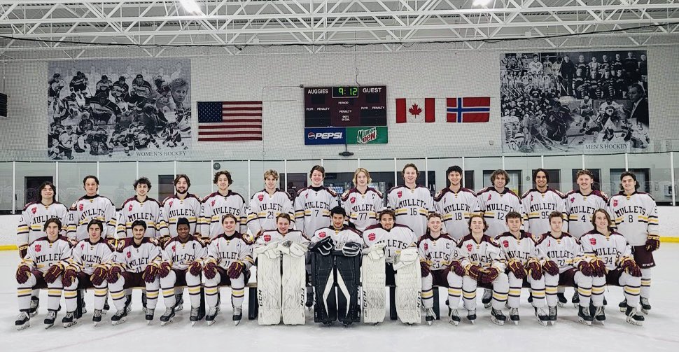 Minnesota Mullets tweet media