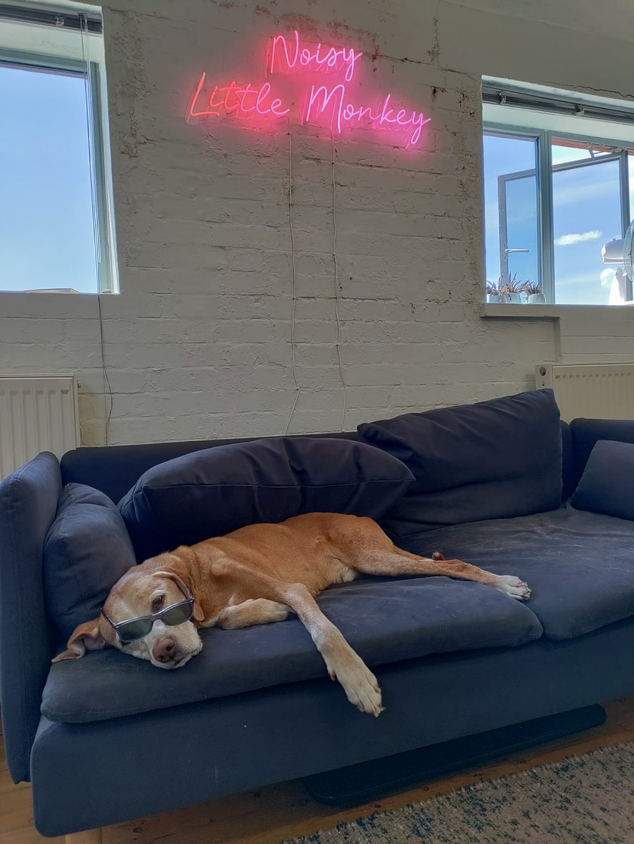 Noisy Little Monkey tweet media