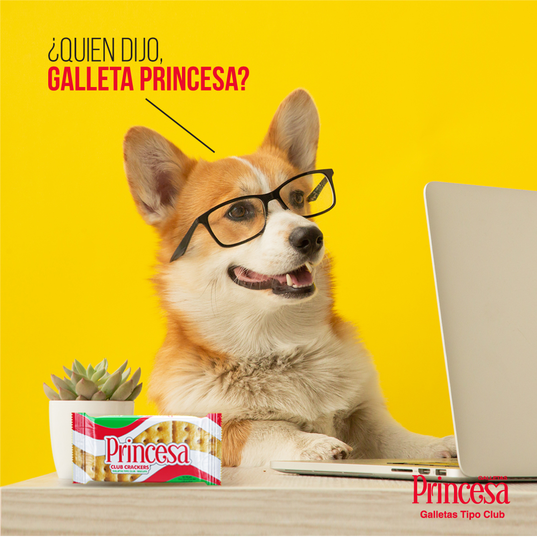 PrincesaClubRD's tweet photo. Tu estas claro, que todos son locos con las Galletas Princesa. Busca la tuya.
#ComparteloConPrincesaClub #SiempreTeAcompañan https://t.co/mAP3Eu7m9o