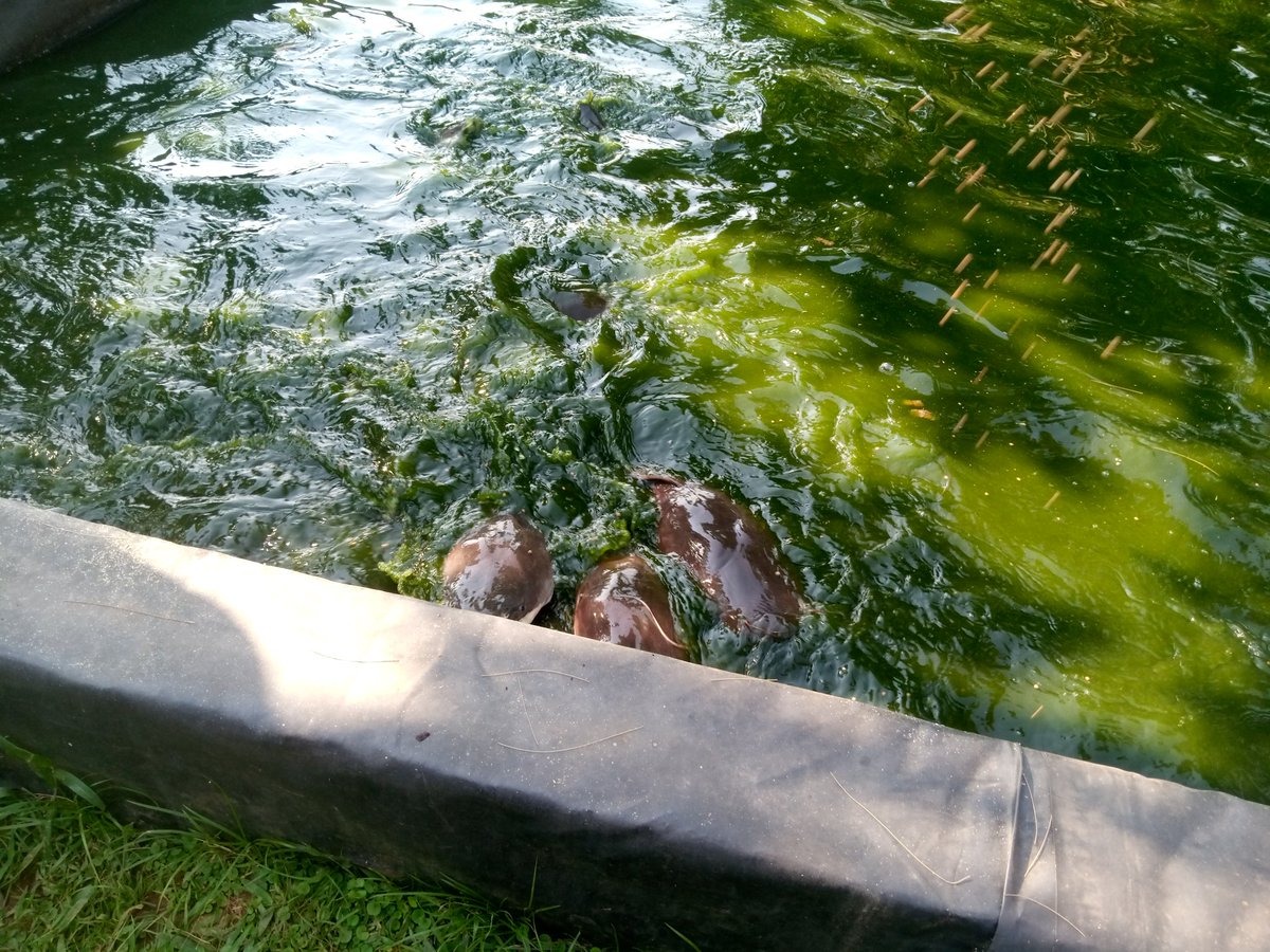 Kuza Coolers Limited tweet media