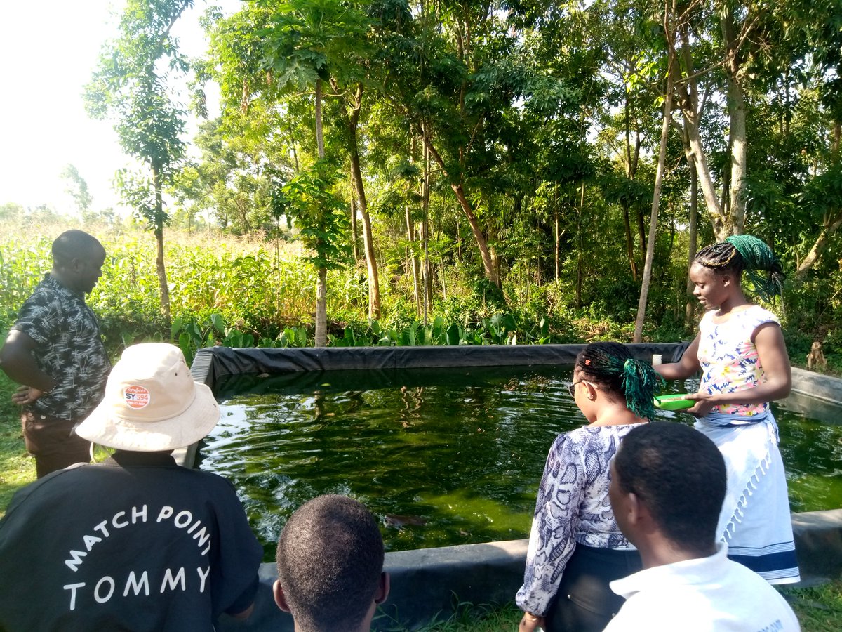 Kuza Coolers Limited tweet media