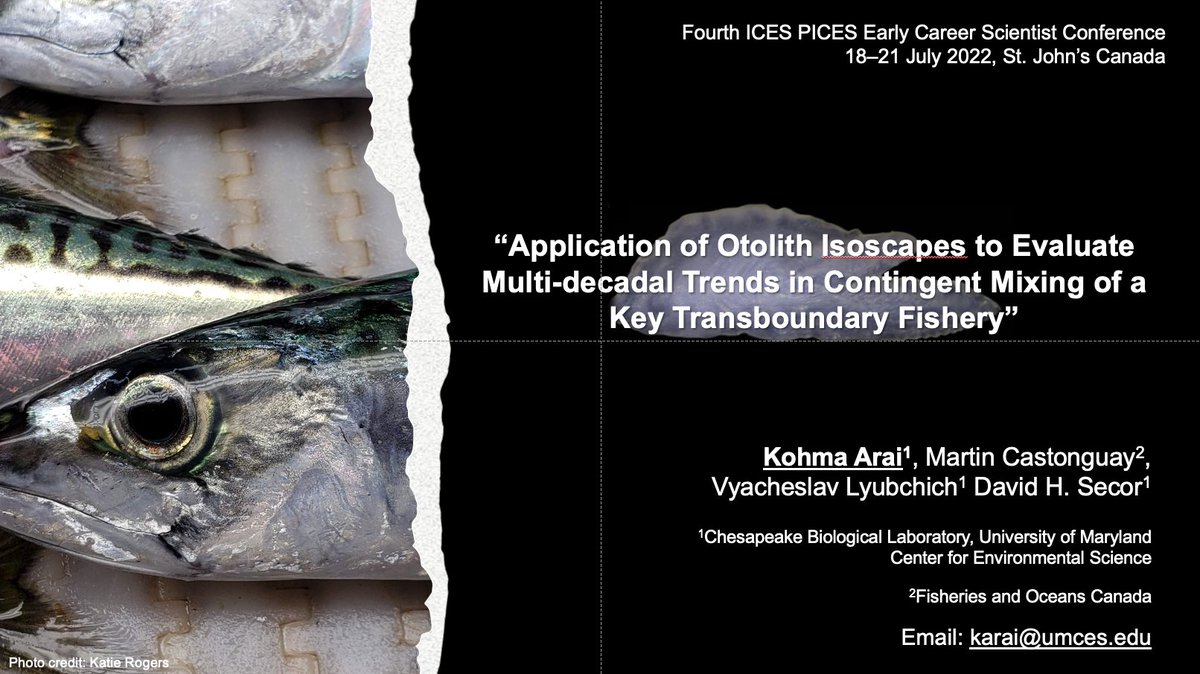 KohmaArai's tweet photo. Excited to present my dissertation work @ECSC_4 next week! Come see my talk (7/21, 10 am) to learn how we applied machine learning and otolith isoscapes to assess spatial structure of NW Atlantic mackerel! #ECSC4 https://t.co/76UdpfaL5s