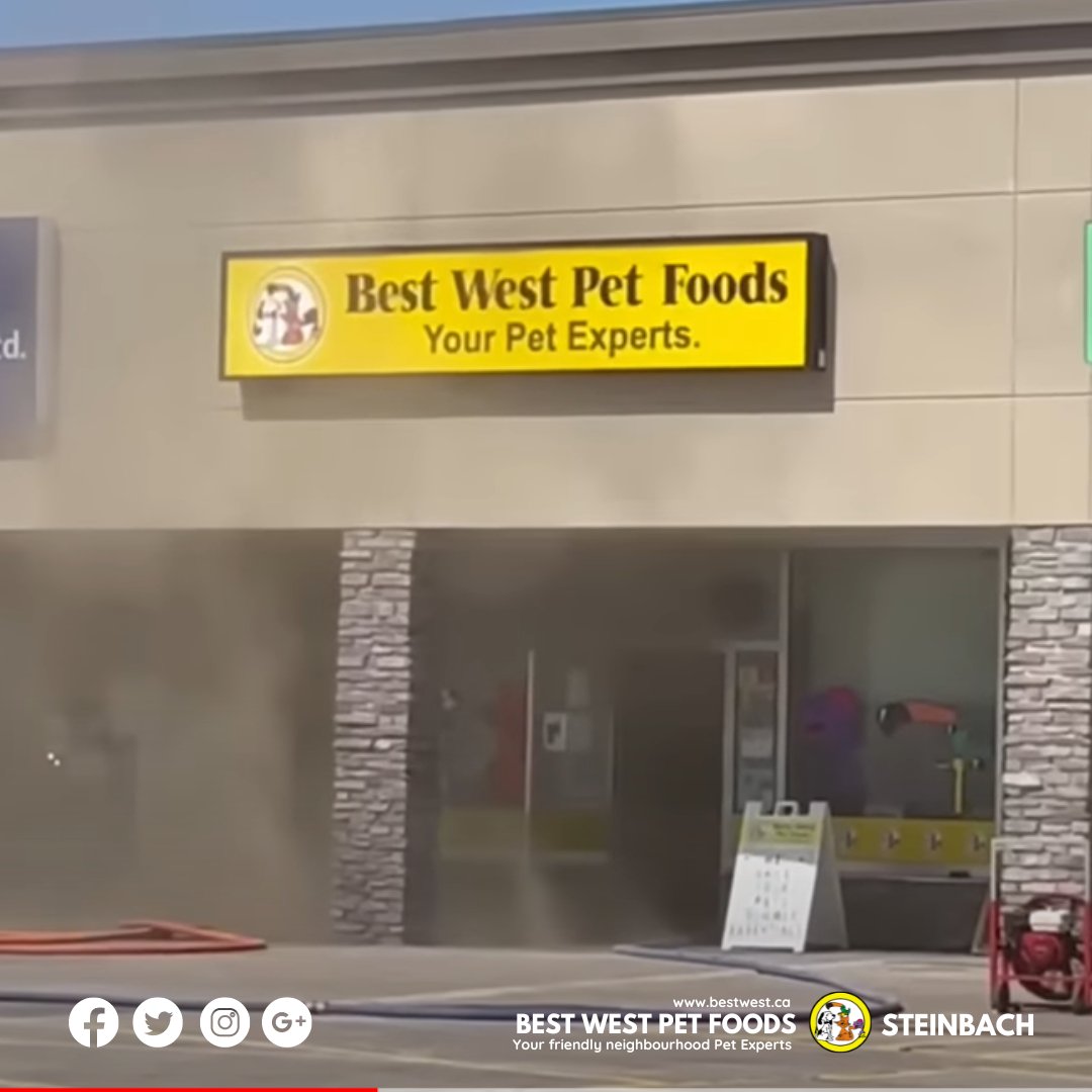 bestwestpet's tweet photo. Article: https://t.co/2M2bm5VwpE
Message to our Steinbach community:
#steinbachfire #manitobanews #bestwestpetfoods https://t.co/ZXtQlG8I5Q