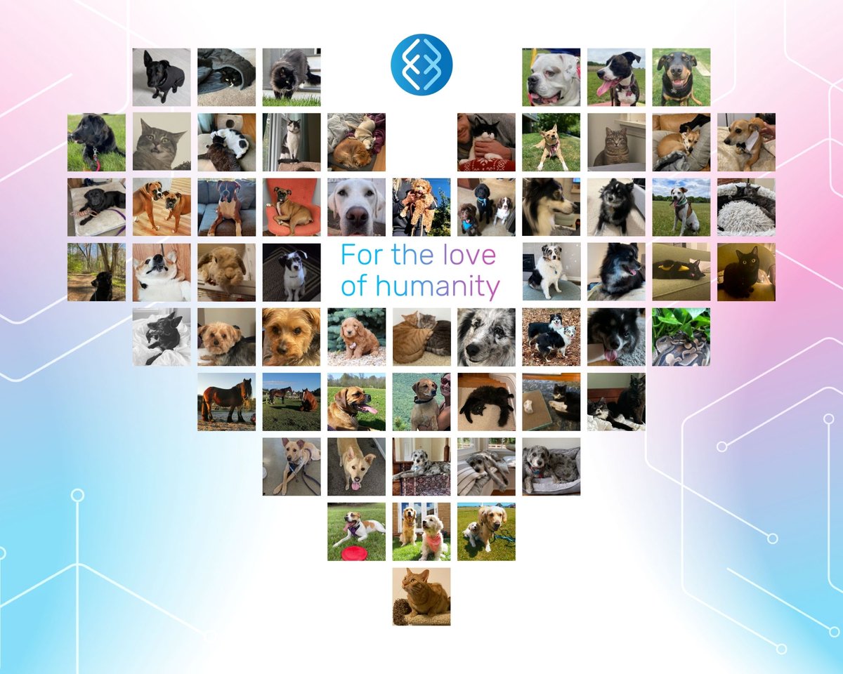emulateinc's tweet image. On this #AllAmericanPetPhotoDay, we want to raise awareness for the #FDAModernizationAct, which will allow New Approach Methods like #OrganChips to be accepted by the FDA. Learn more and pledge support at bit.ly/3yWcPTJ. 
Don’t forget to share a photo of your pet!